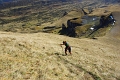 7 Gipfel Wanderung Flumserberg 'Alp Mutschuel - Gulmen 2317m' (82)